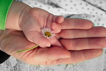 El alma de los niños elige a sus padres - Nanny Heart