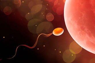 El Inicio de una Nueva Vida - Nanny Heart