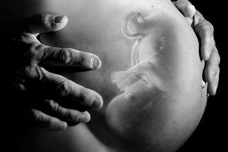 La Música mueve Fetos - Nanny Heart